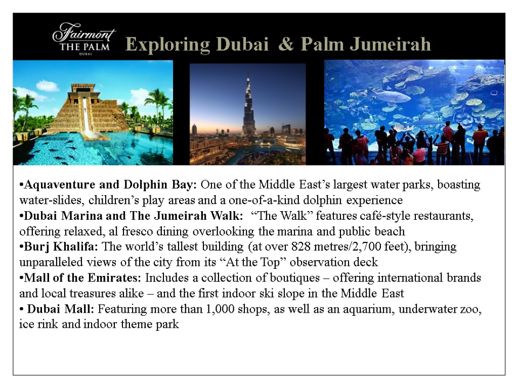 Exploring Dubai & Palm Jumeirah Aquaventure and Dolphin Bay: One of the Middle East’s